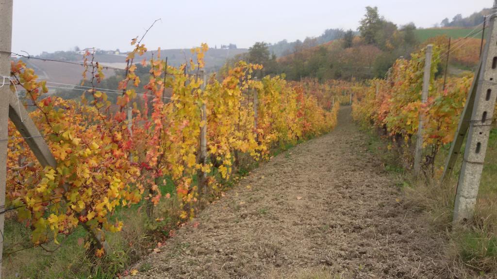 Cascina Torello Dogliani Exteriör bild