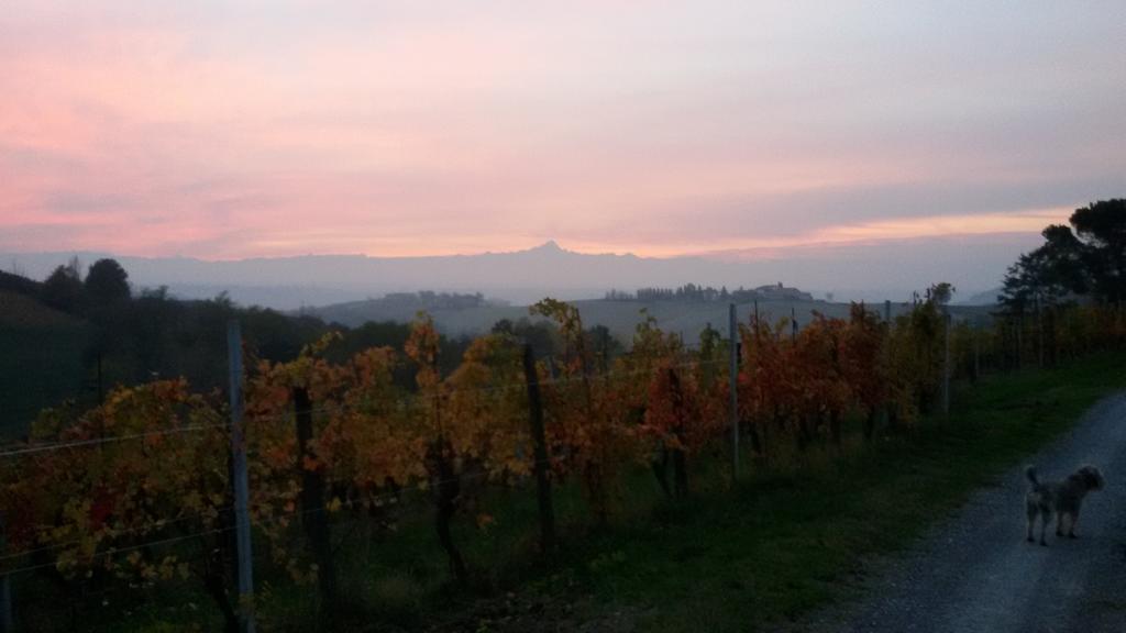 Cascina Torello Dogliani Exteriör bild