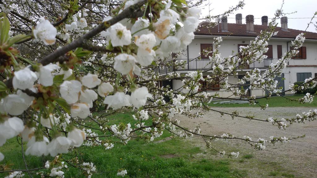 Cascina Torello Dogliani Exteriör bild