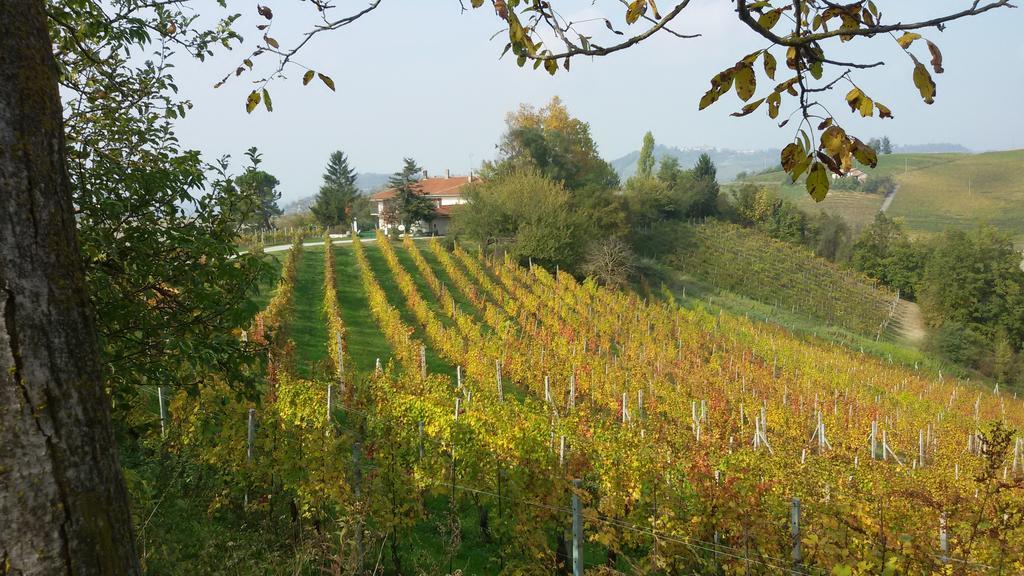 Cascina Torello Dogliani Exteriör bild
