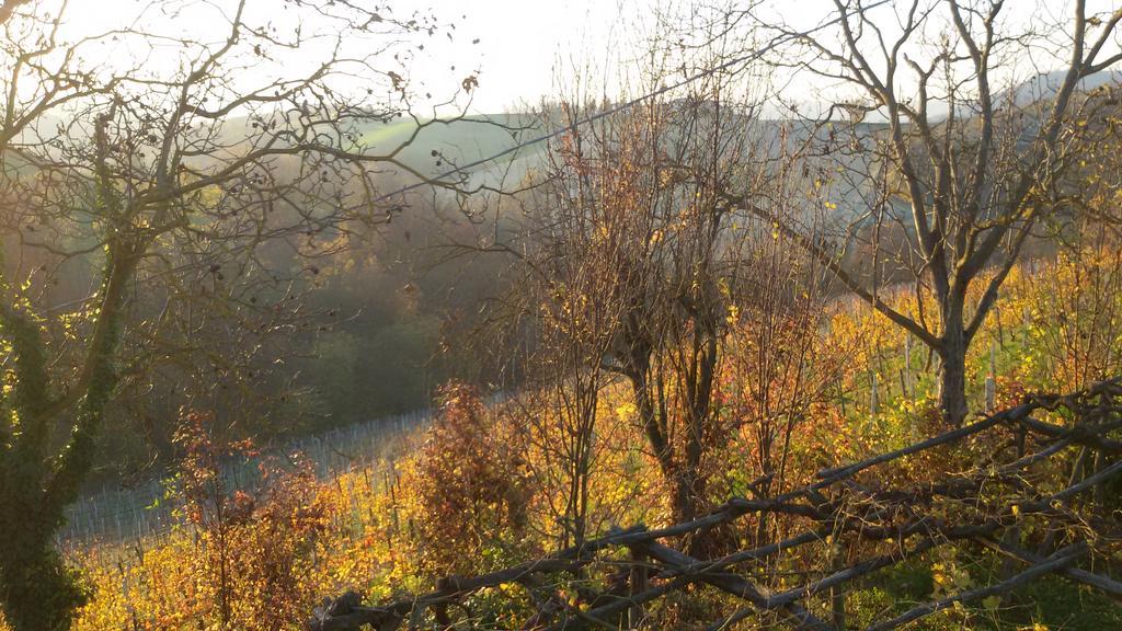 Cascina Torello Dogliani Exteriör bild