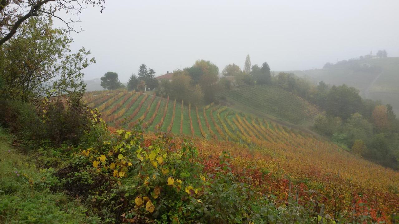 Cascina Torello Dogliani Exteriör bild