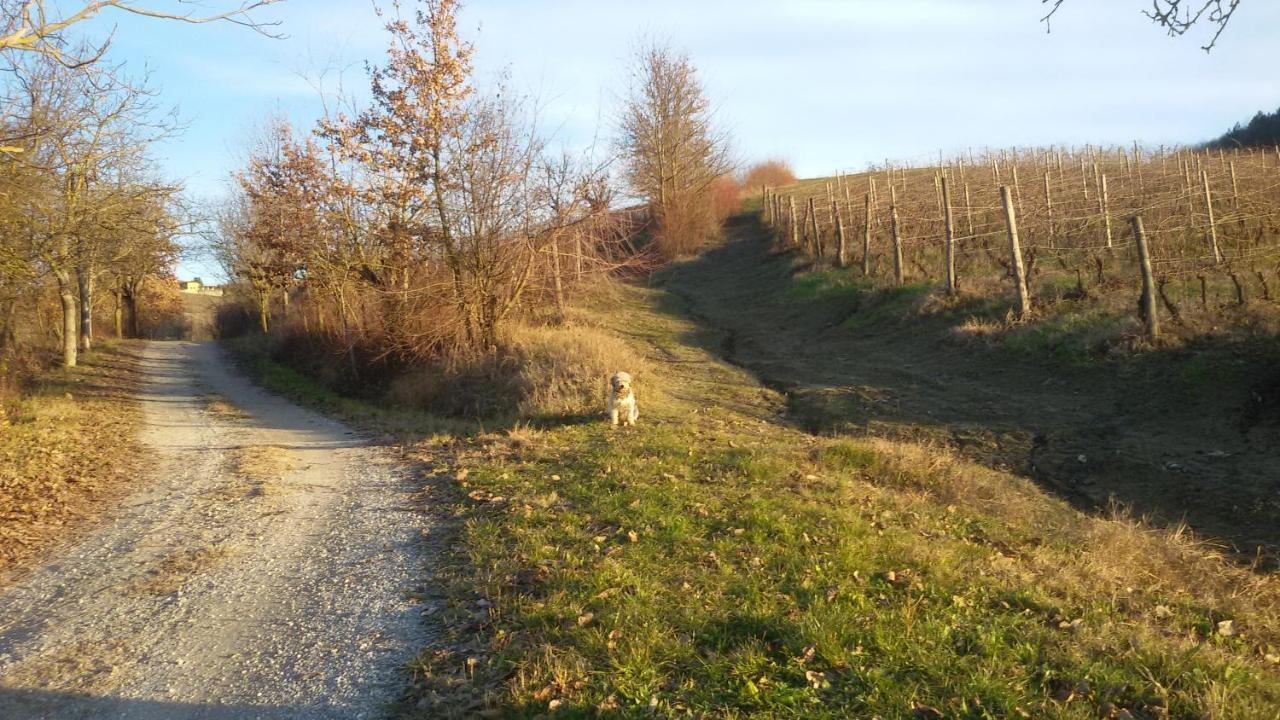 Cascina Torello Dogliani Exteriör bild